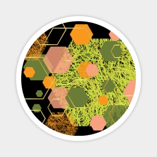 Green, orange, lemon, dusty pink, olive and gold geometrical hexagons Magnet